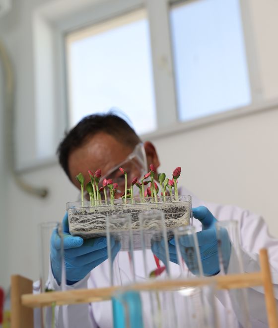 Biotechnology Breeding